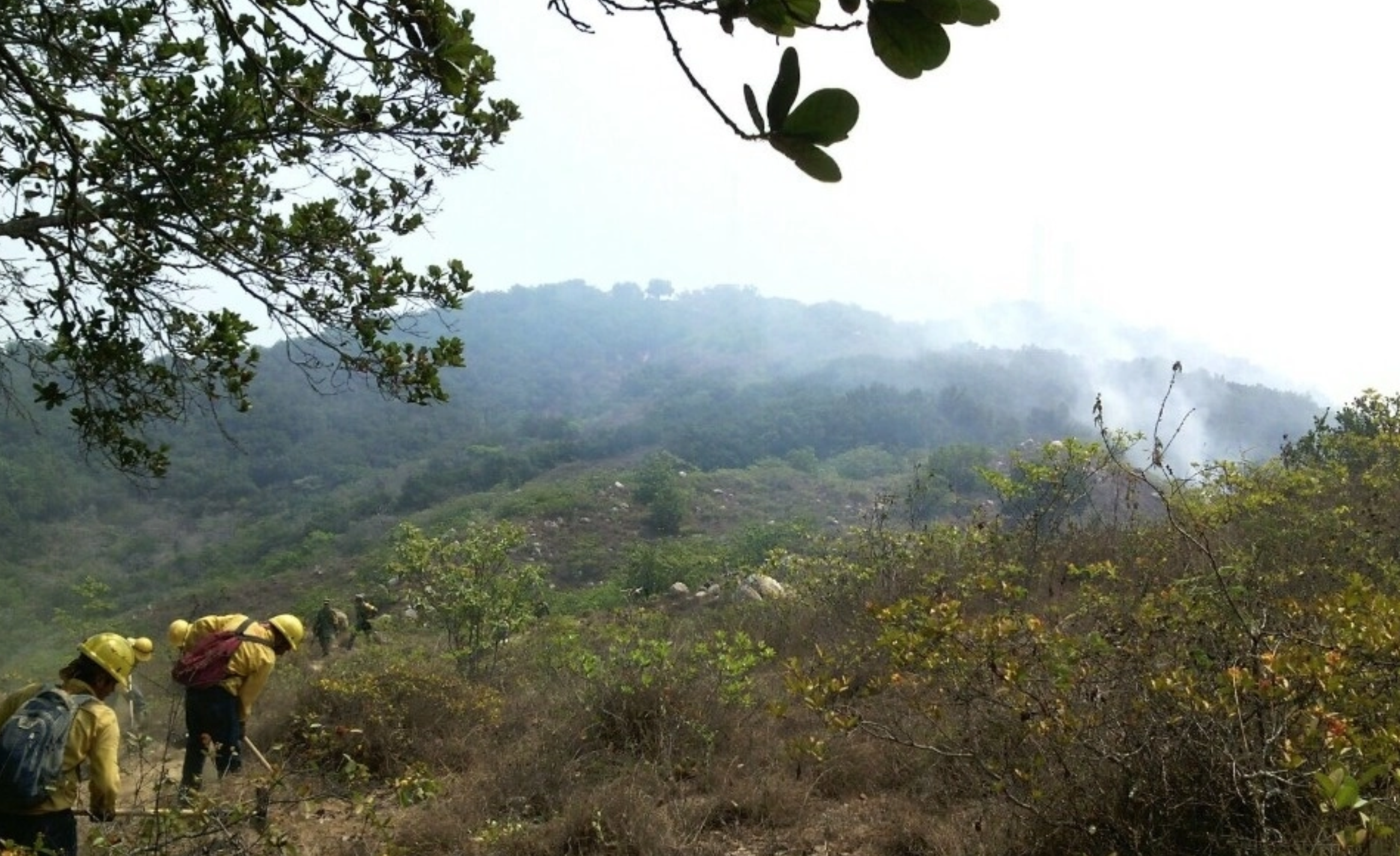 Luchan por sofocar incendio en parque nacional El Veladero en Acapulco